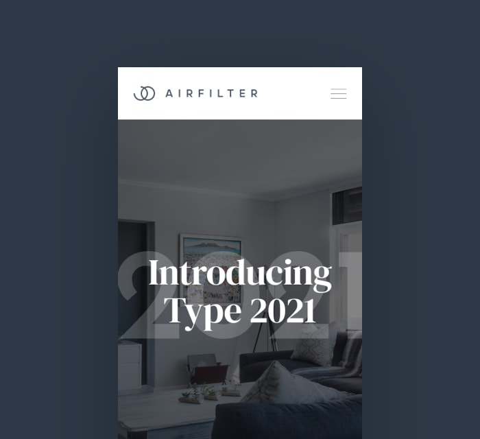 landing page of air filter website